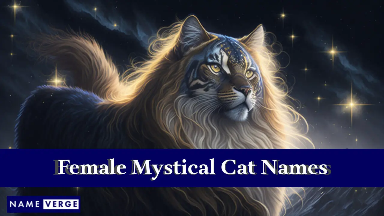 Weibliche mystische Katzennamen