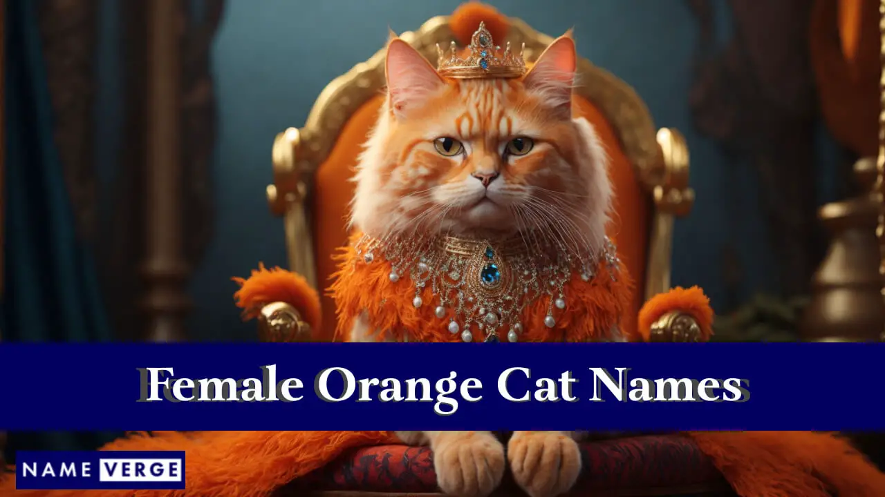 Weibliche orangefarbene Katzennamen