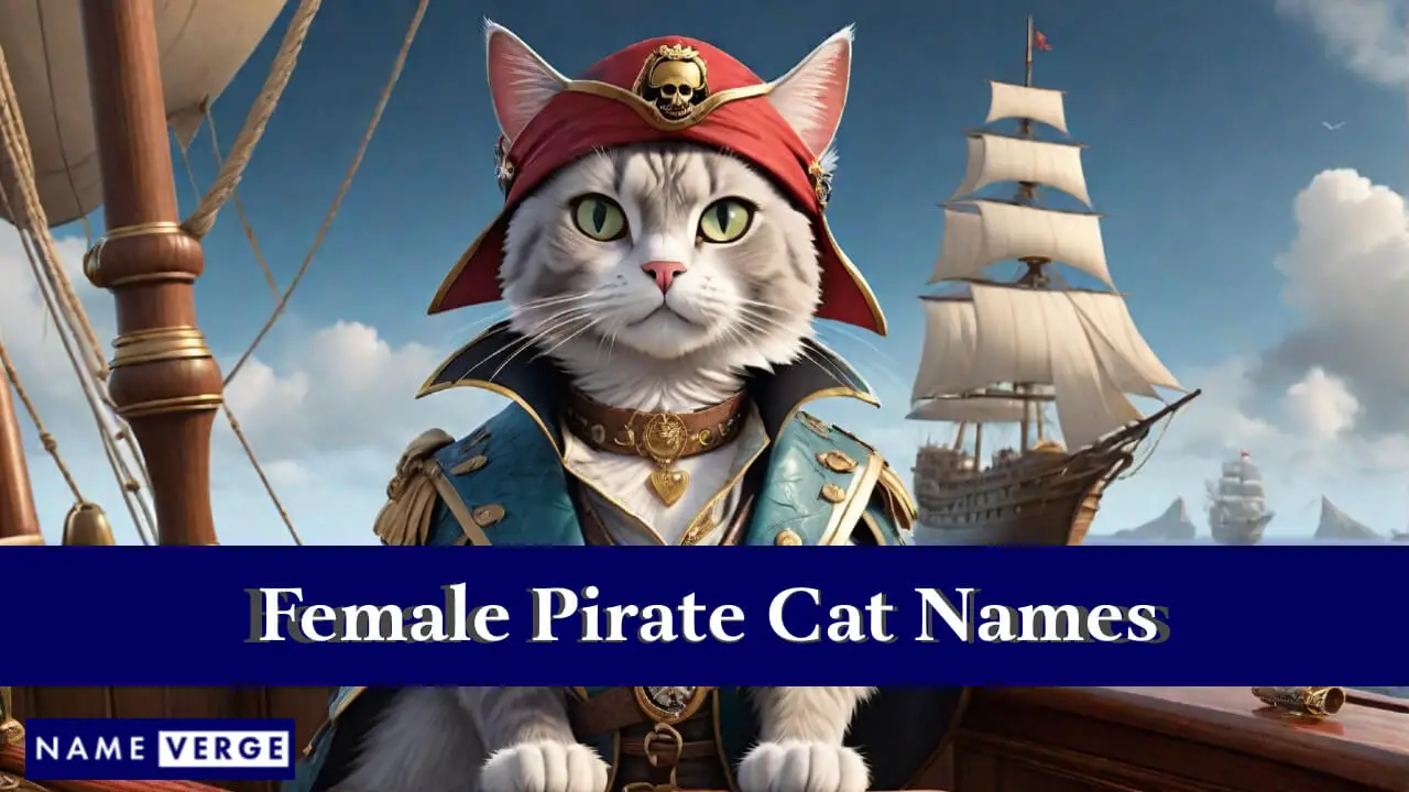Weibliche Piratenkatzennamen