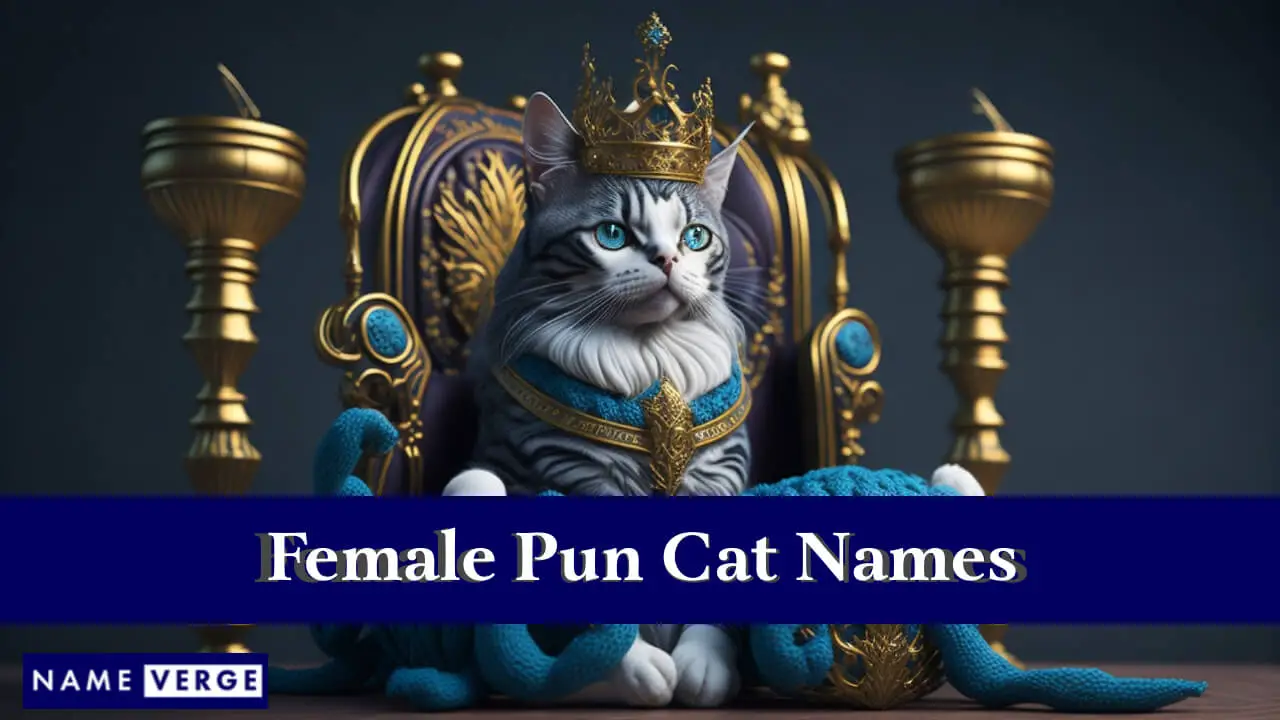 Weibliche Wortspiel-Katzennamen