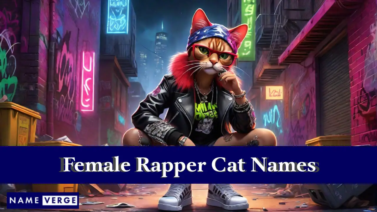 Weibliche Rapper-Katzennamen