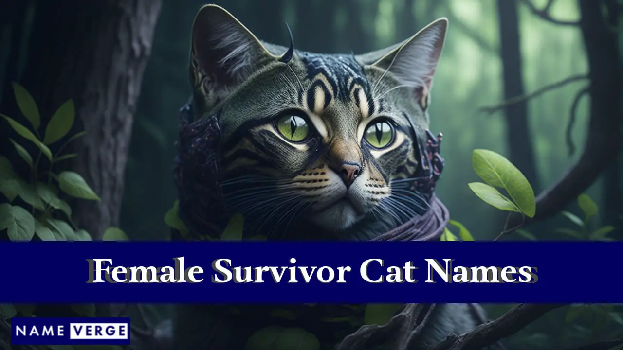 Namen weiblicher Überlebenskatzen