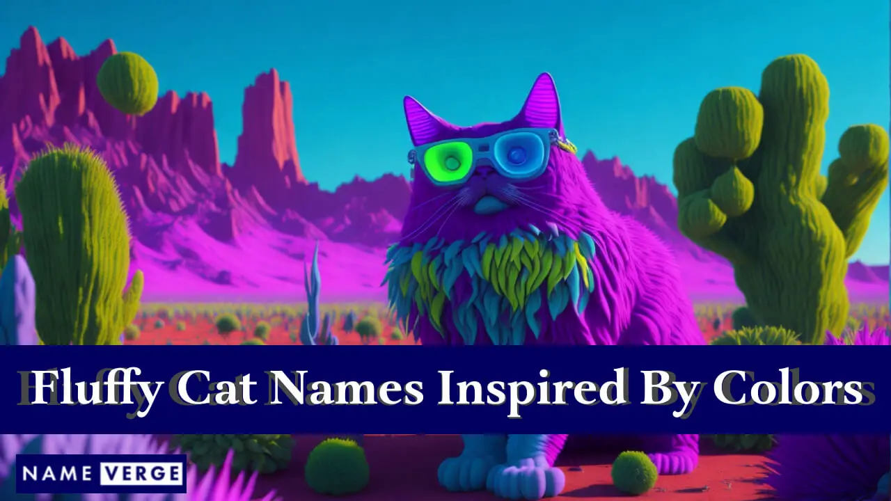 Flauschige Katzennamen, inspiriert von Farben