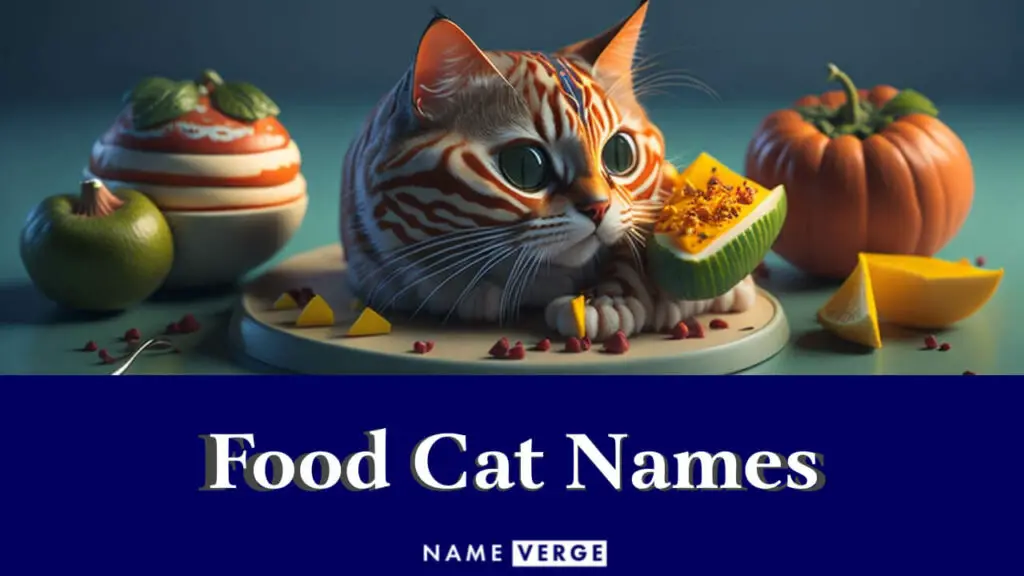 food cat names