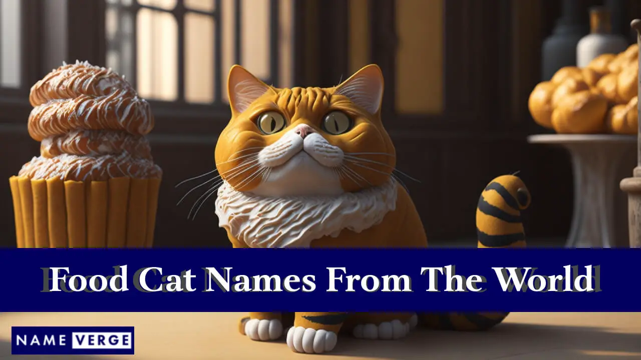 Futterkatzennamen aus aller Welt