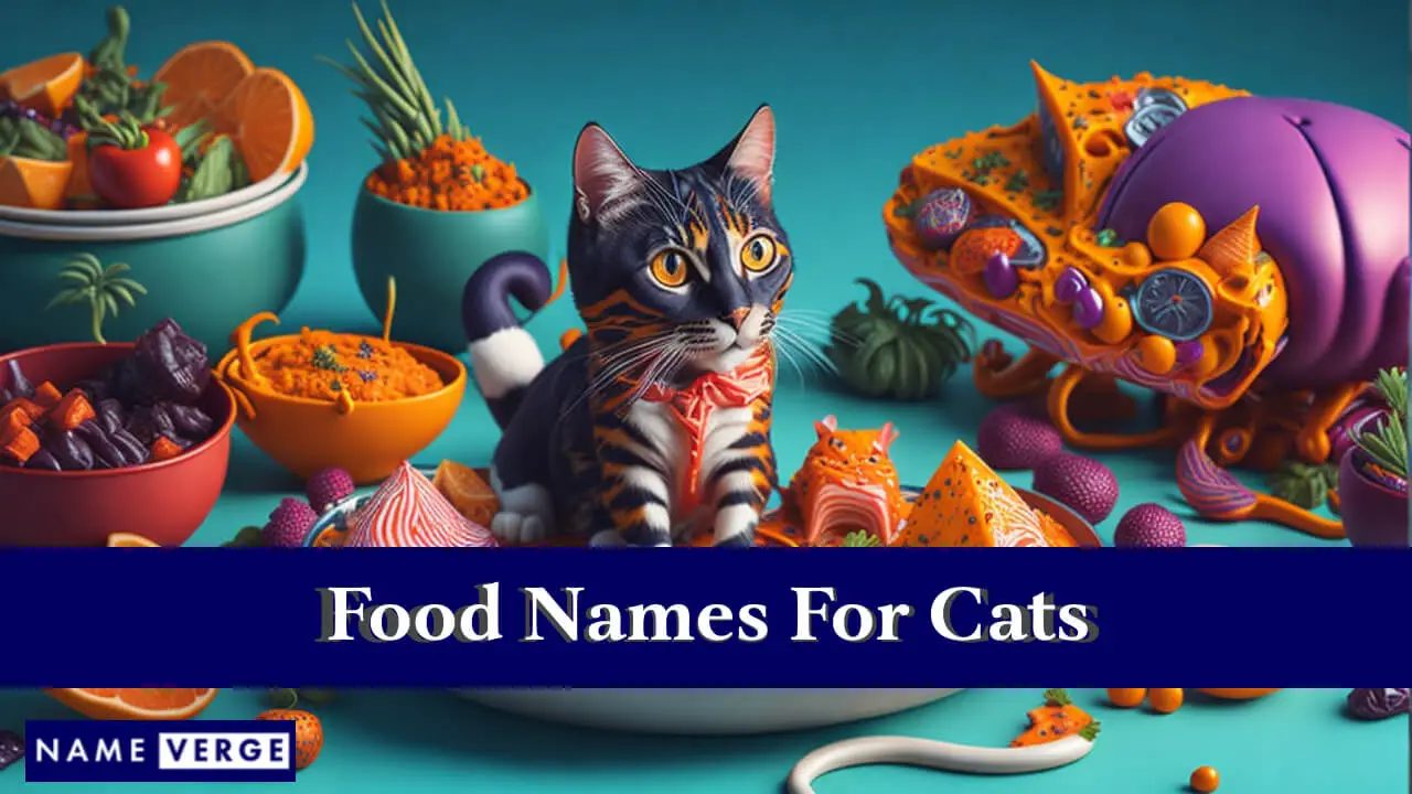 Futternamen für Katzen