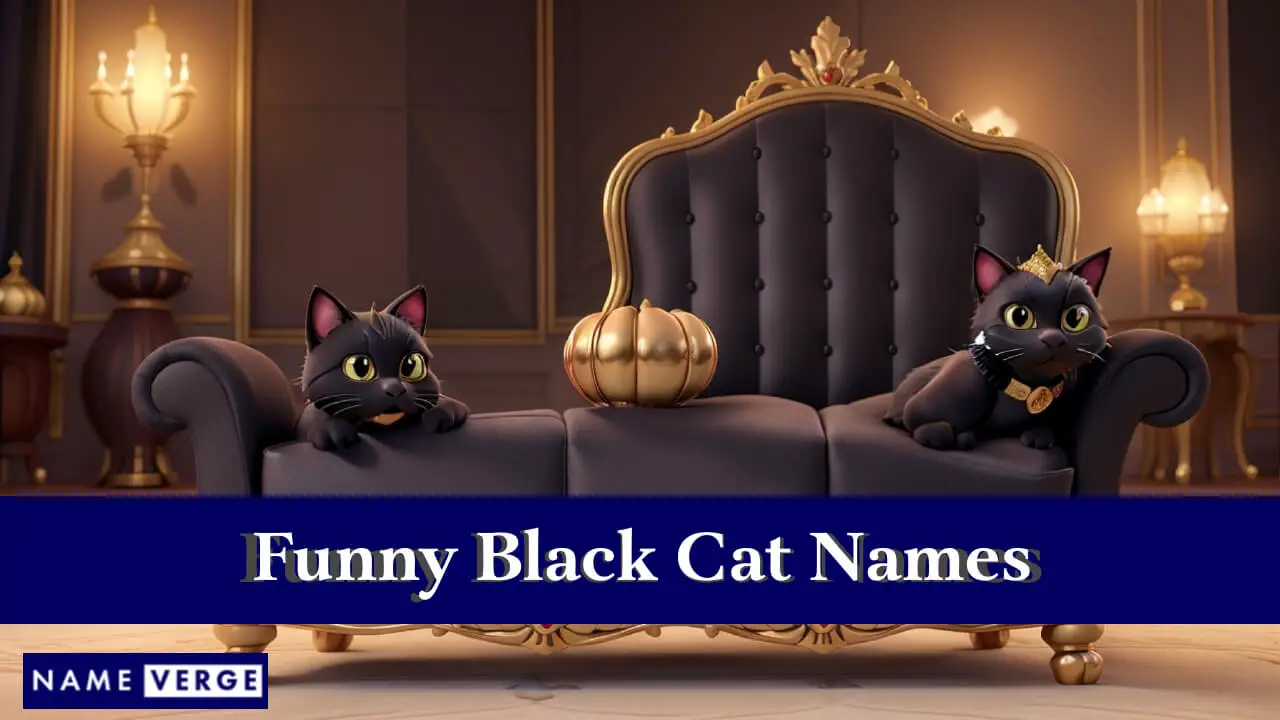 Lustige schwarze Katzennamen