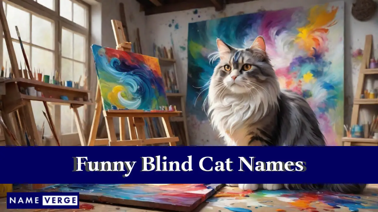 Lustige blinde Katzennamen