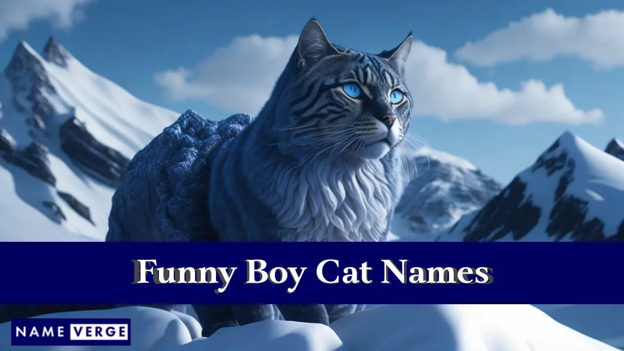 Lustige Namen für Jungenkatzen