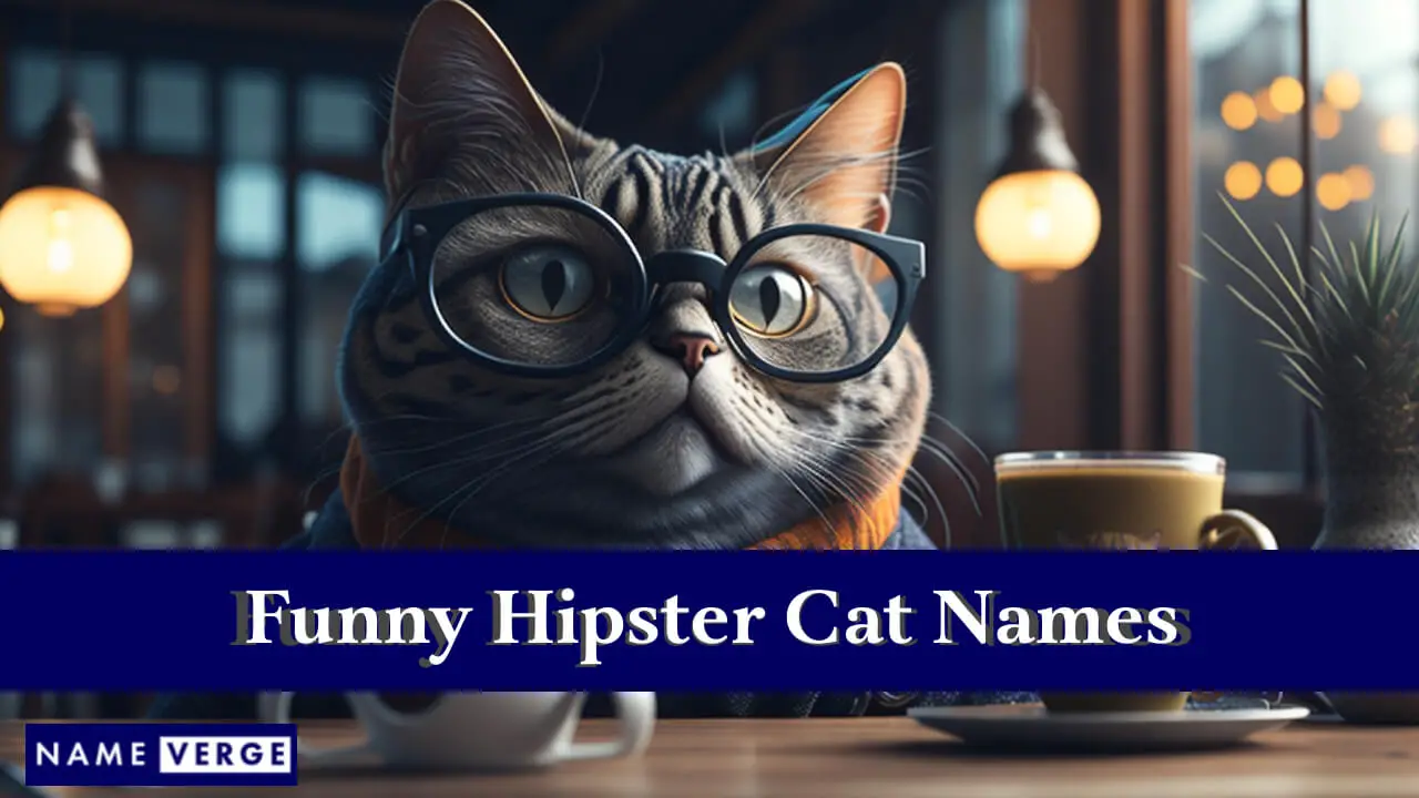 Lustige Hipster-Katzennamen