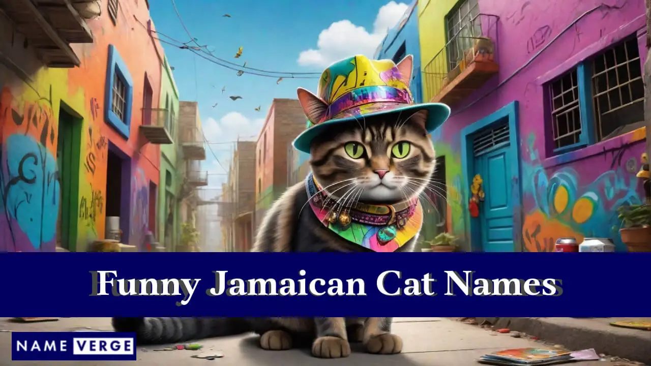 Lustige jamaikanische Katzennamen
