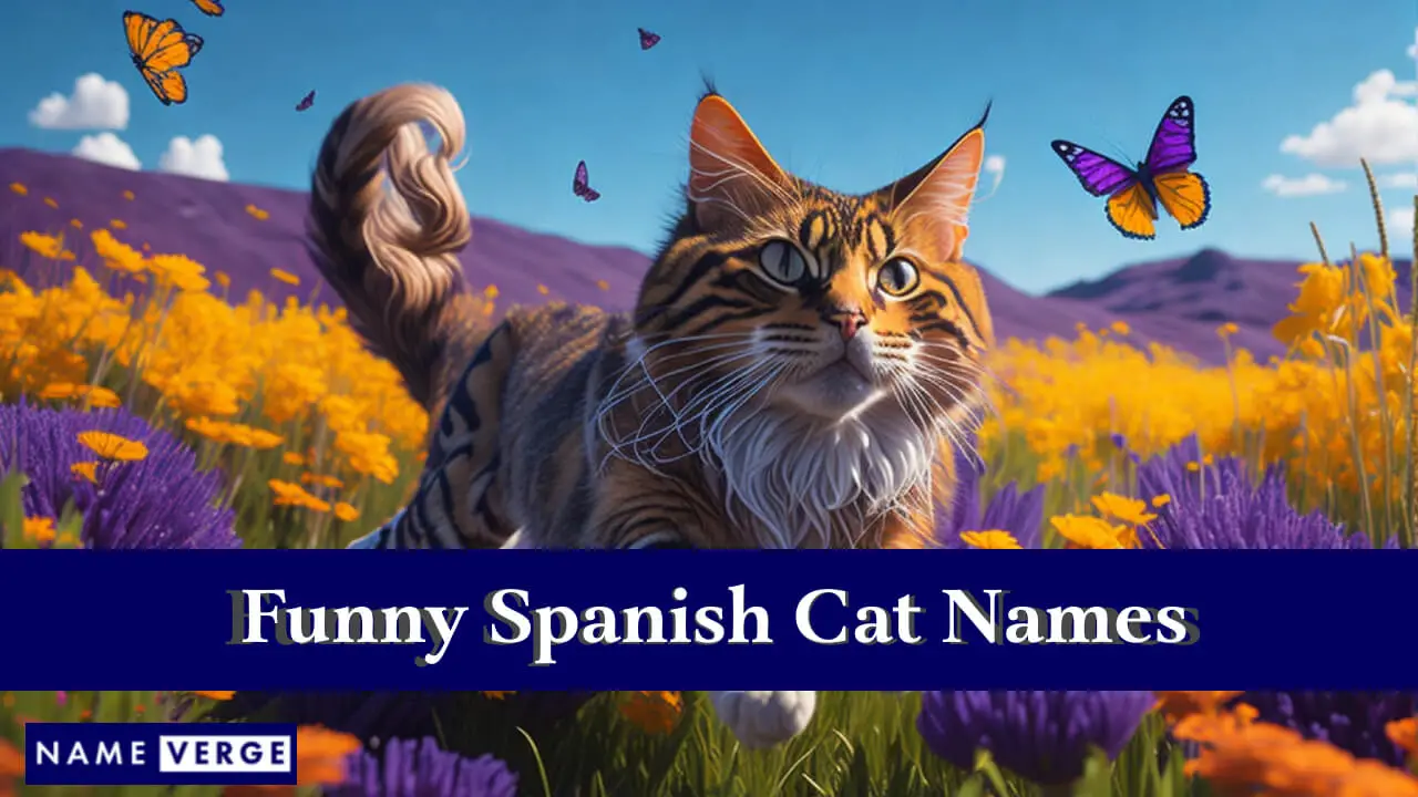 Lustige spanische Katzennamen