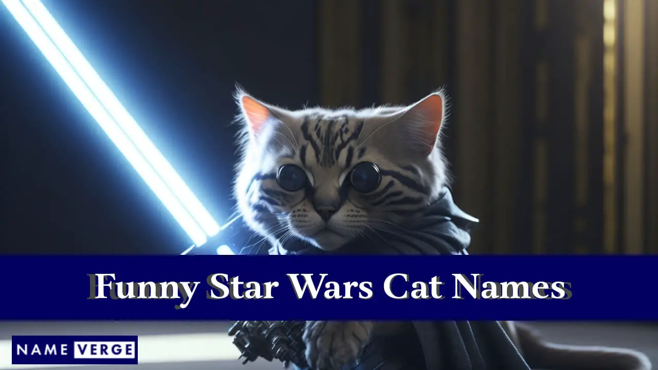 Lustige Star Wars-Katzennamen