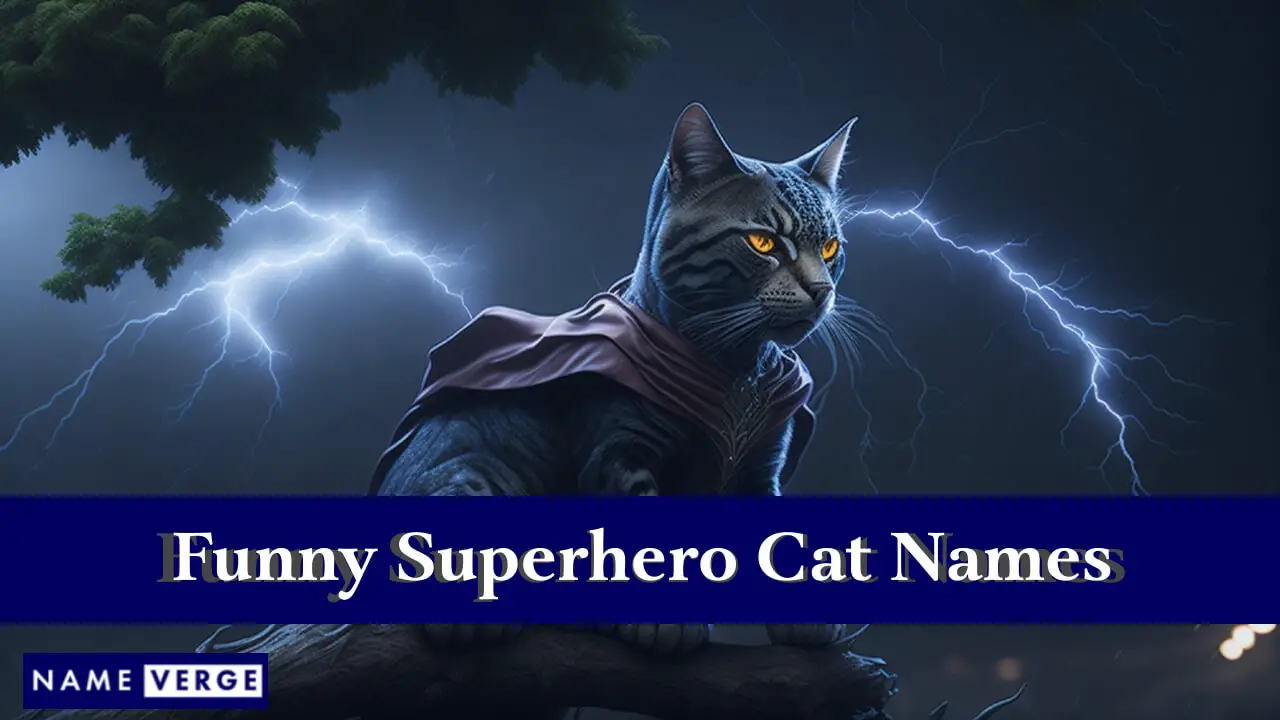 Lustige Superhelden-Katzennamen