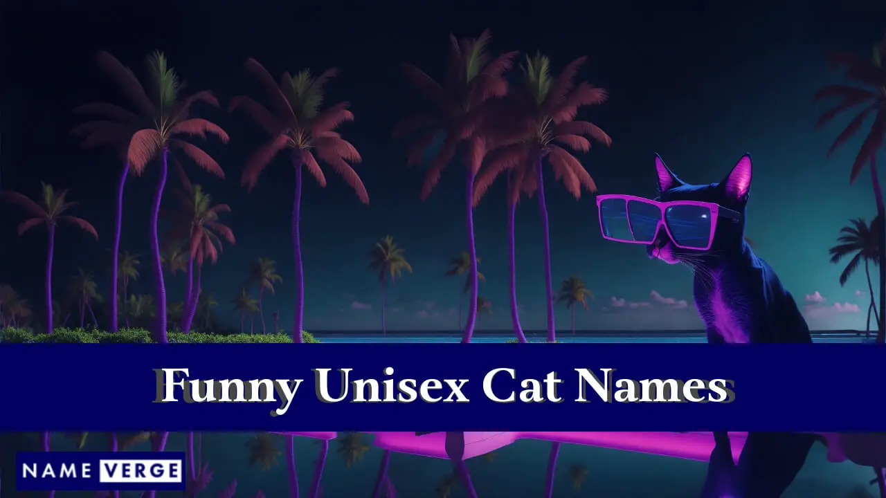Lustige Unisex-Katzennamen