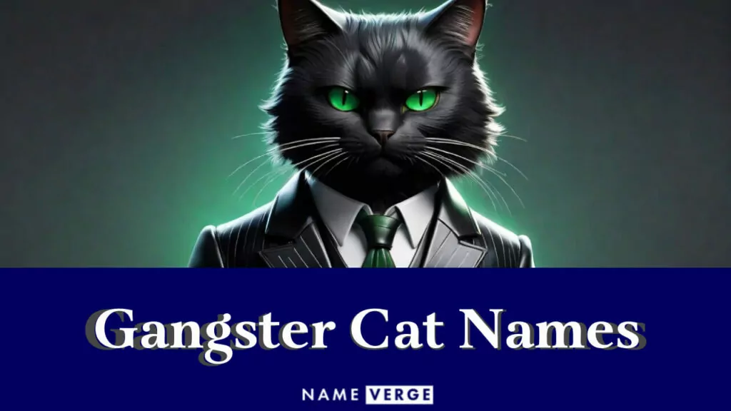 gangster cat names