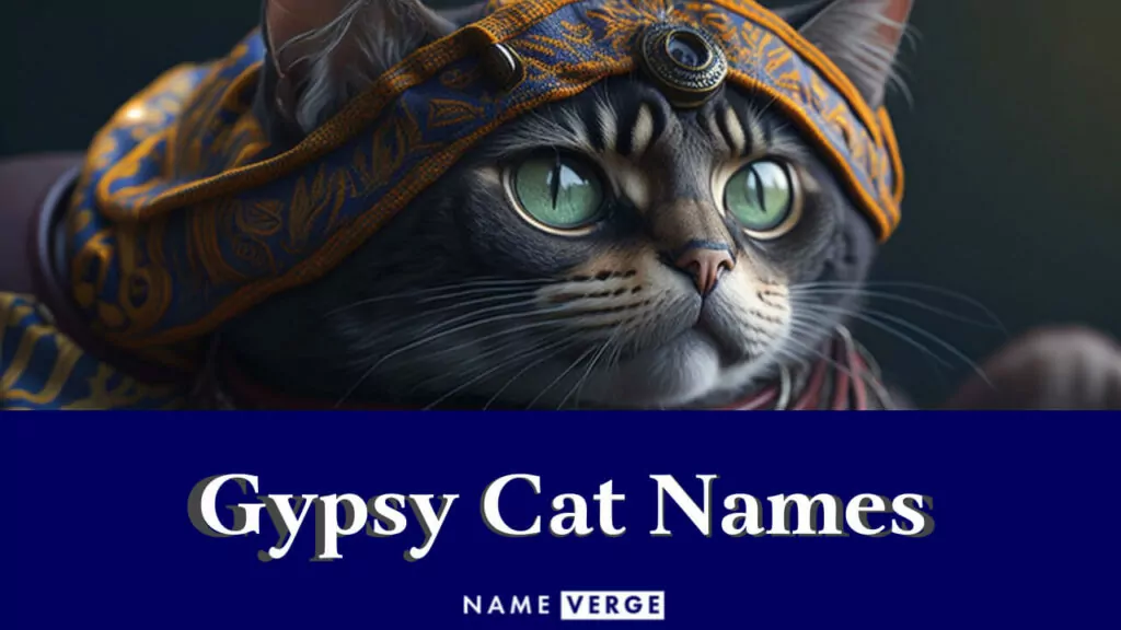 gypsy cat names