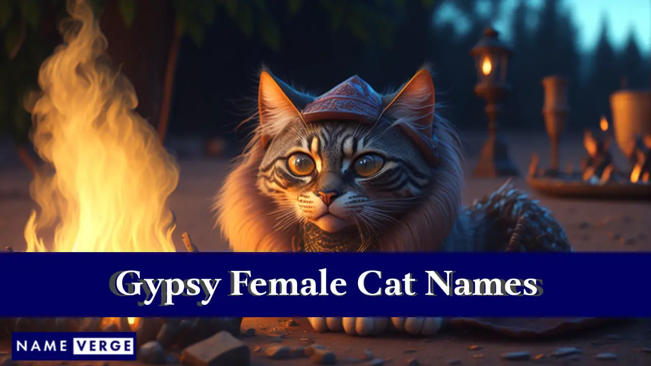 Zigeunernamen für weibliche Katzen