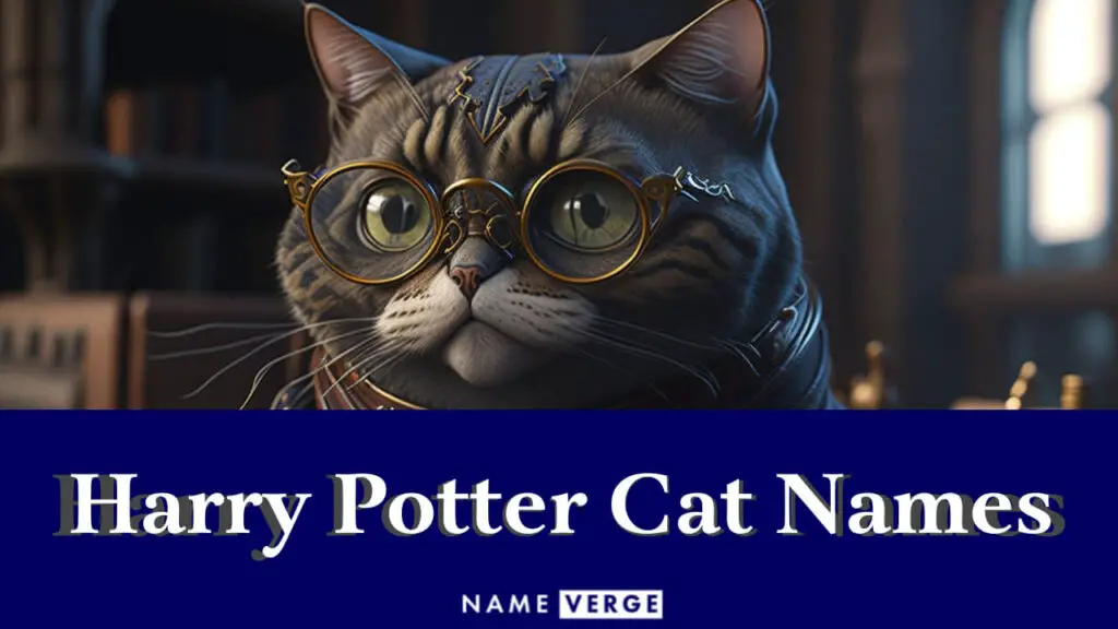 harry potter cat names