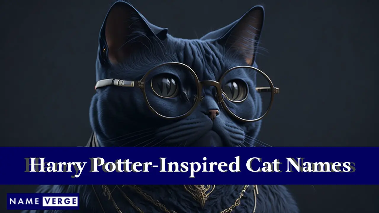 Von Harry Potter inspirierte Katzennamen