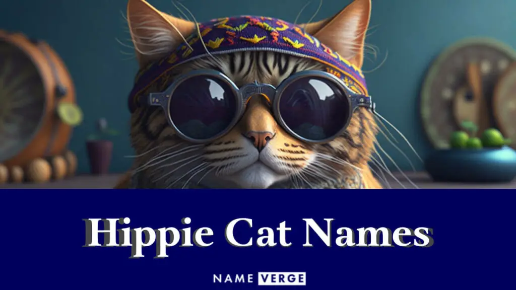 hippie cat names