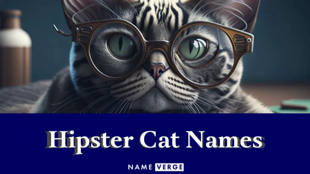 hipster cat names