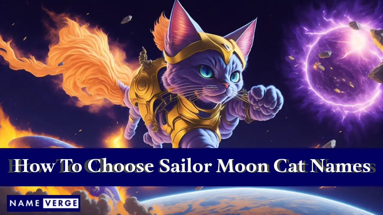 So wählen Sie Sailor Moon-Katzennamen aus