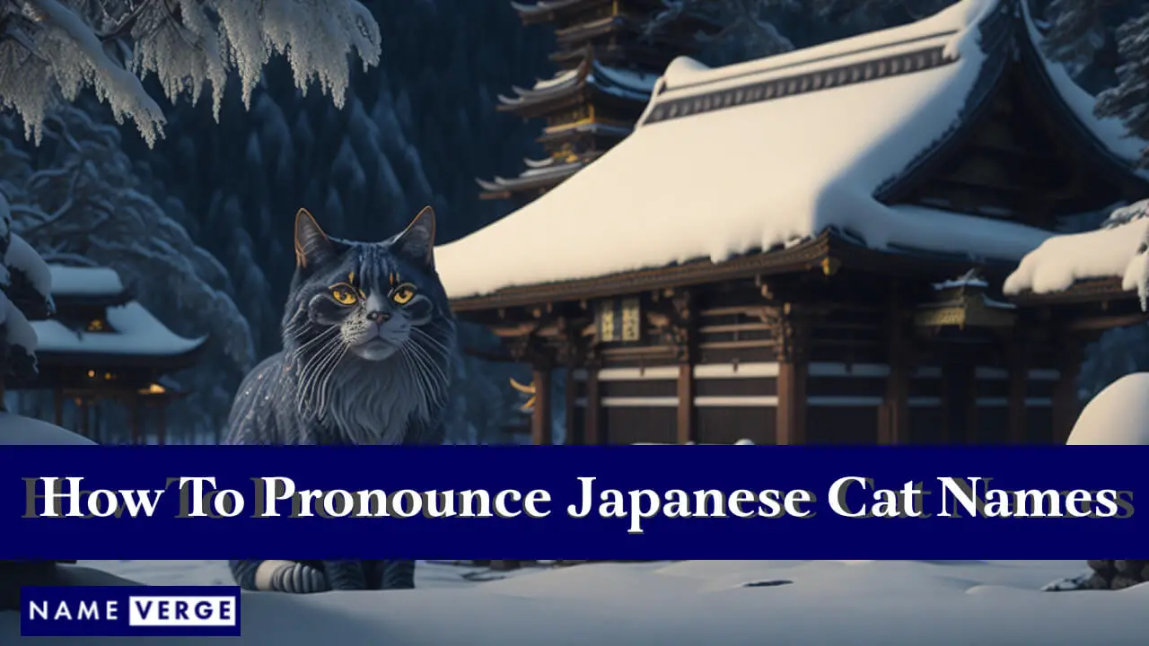 Wie man japanische Katzennamen ausspricht