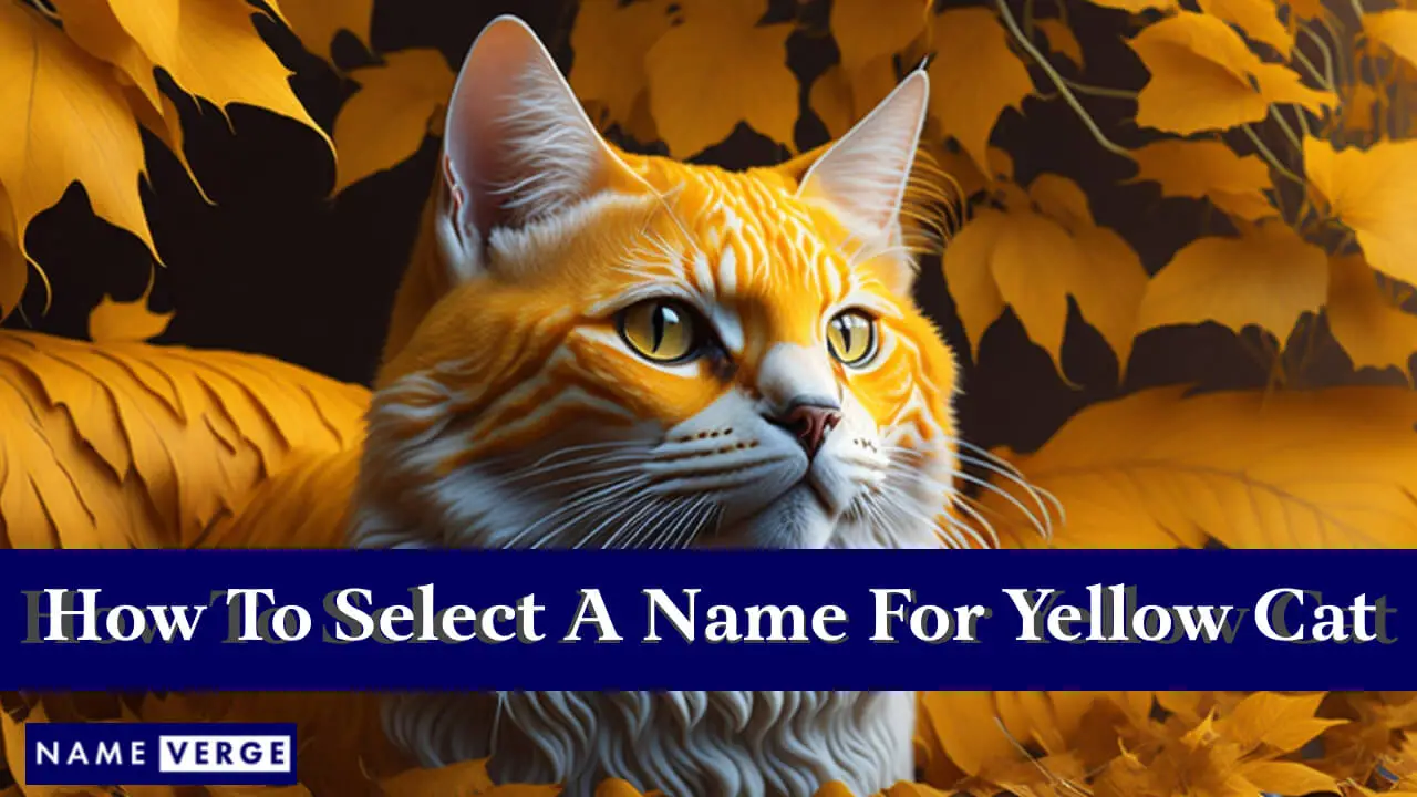 So wählen Sie einen Namen für Ihre gelbe Katze aus