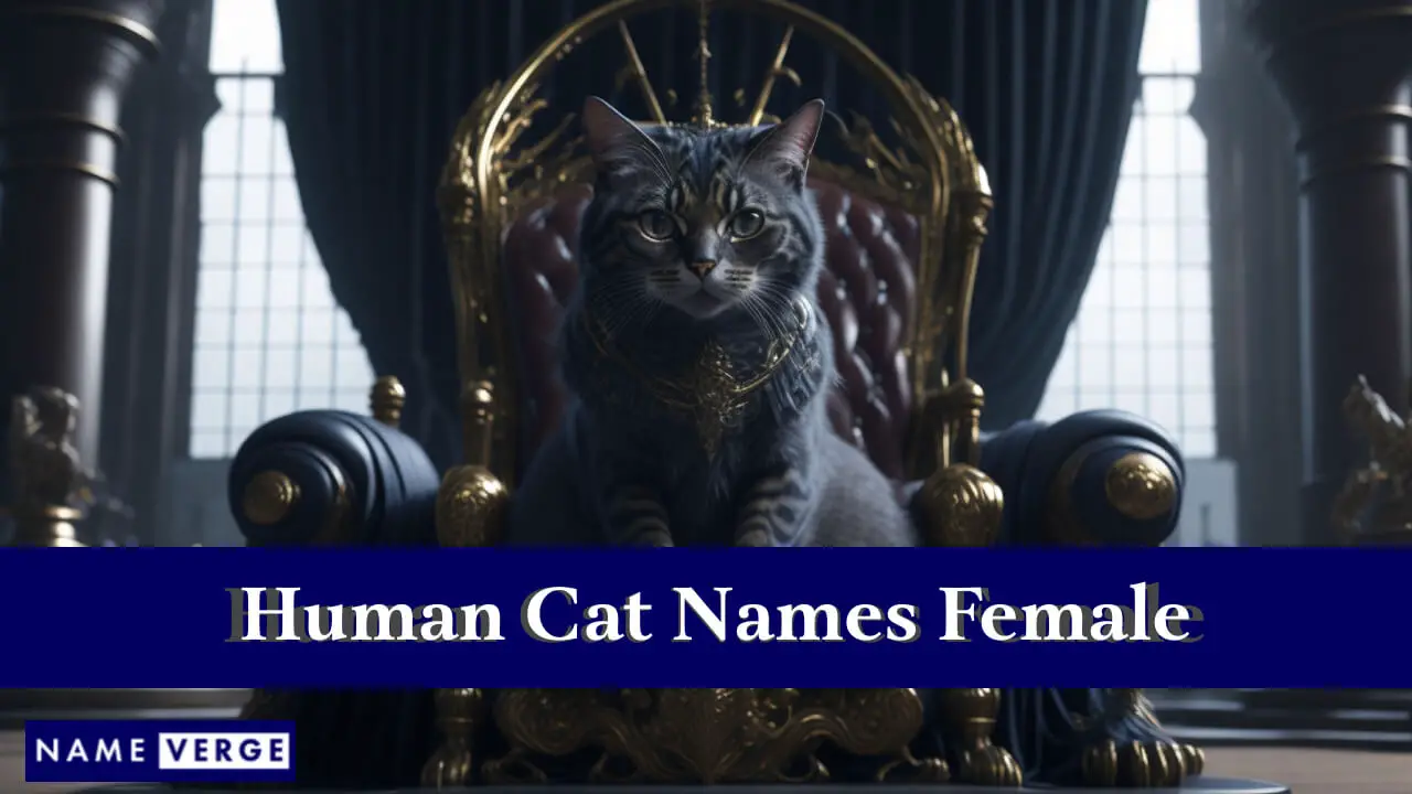 Menschliche Katzennamen weiblich