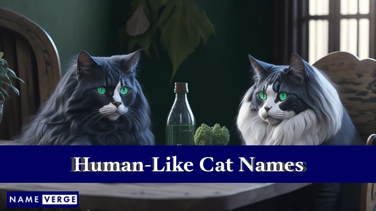 Menschenähnliche Katzennamen