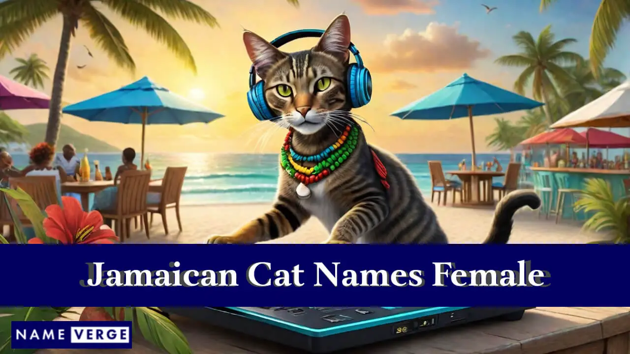 Jamaikanische Katzennamen für Frauen