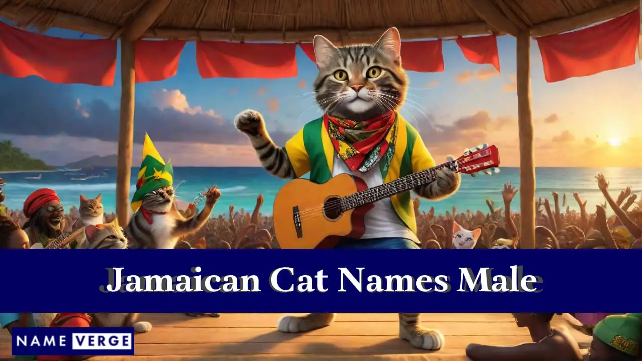 Jamaikanische Katzennamen männlich