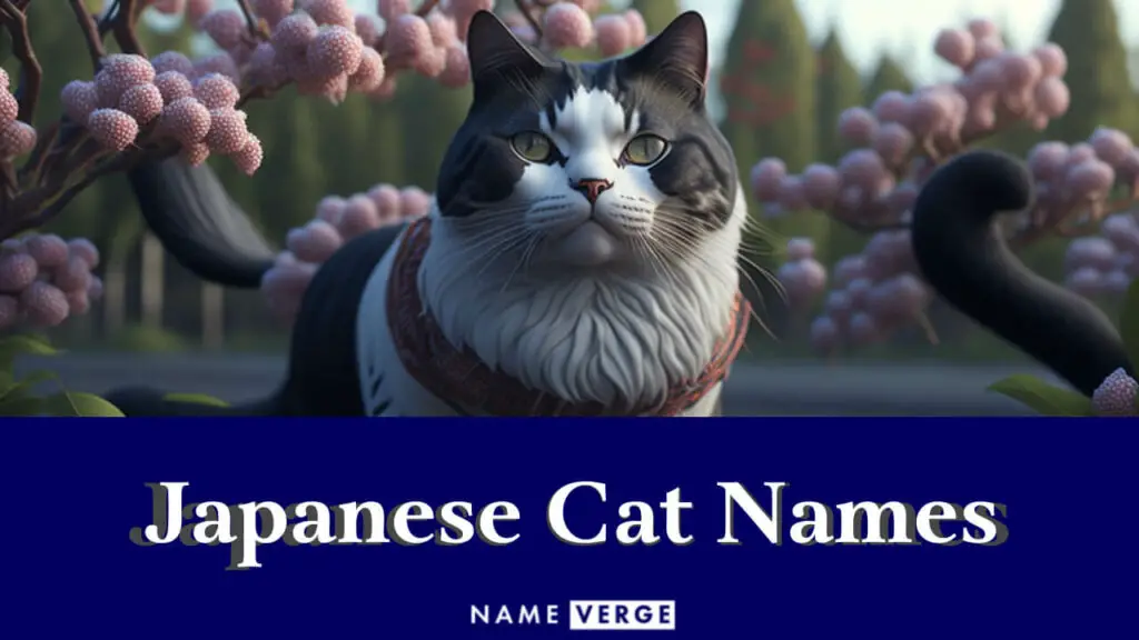 japanese cat names