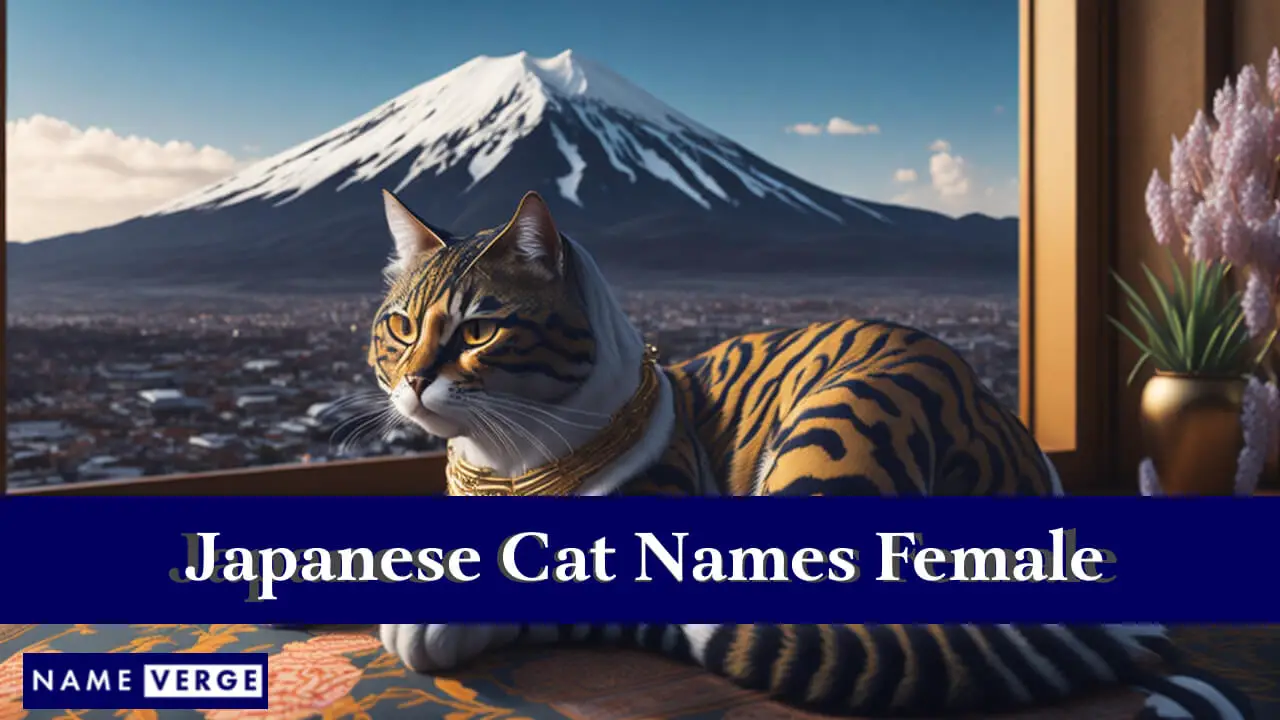 Japanische Katzennamen weiblich