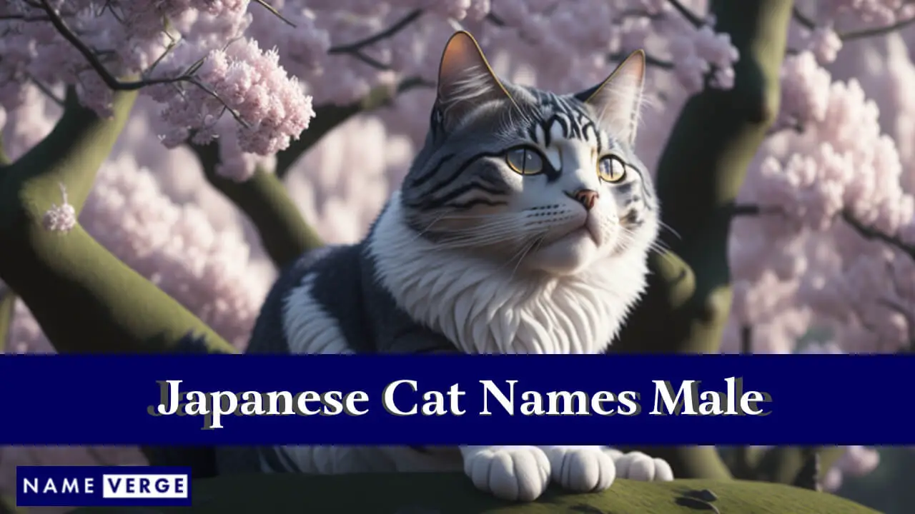 Japanische Katzennamen männlich