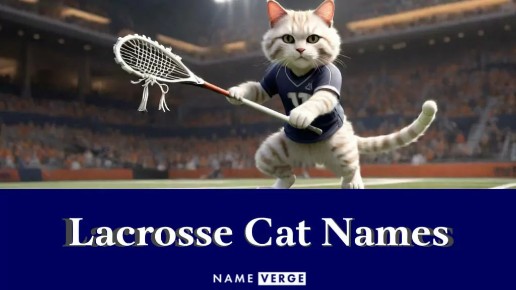 lacrosse cat names