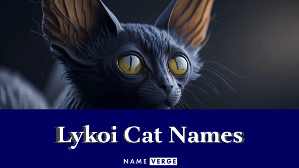 lykoi cat names