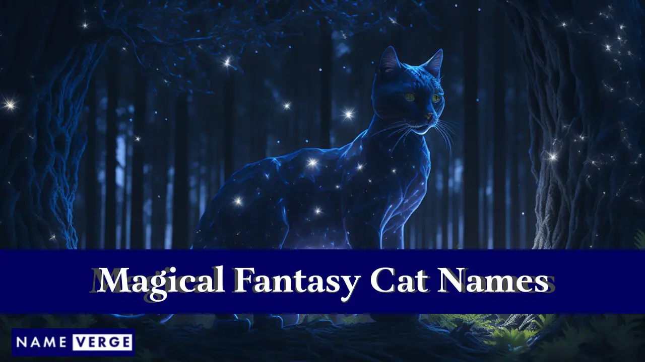 Magische Fantasy-Katzennamen