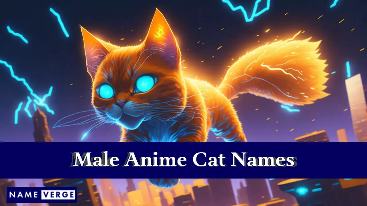 Männliche Anime-Katzennamen