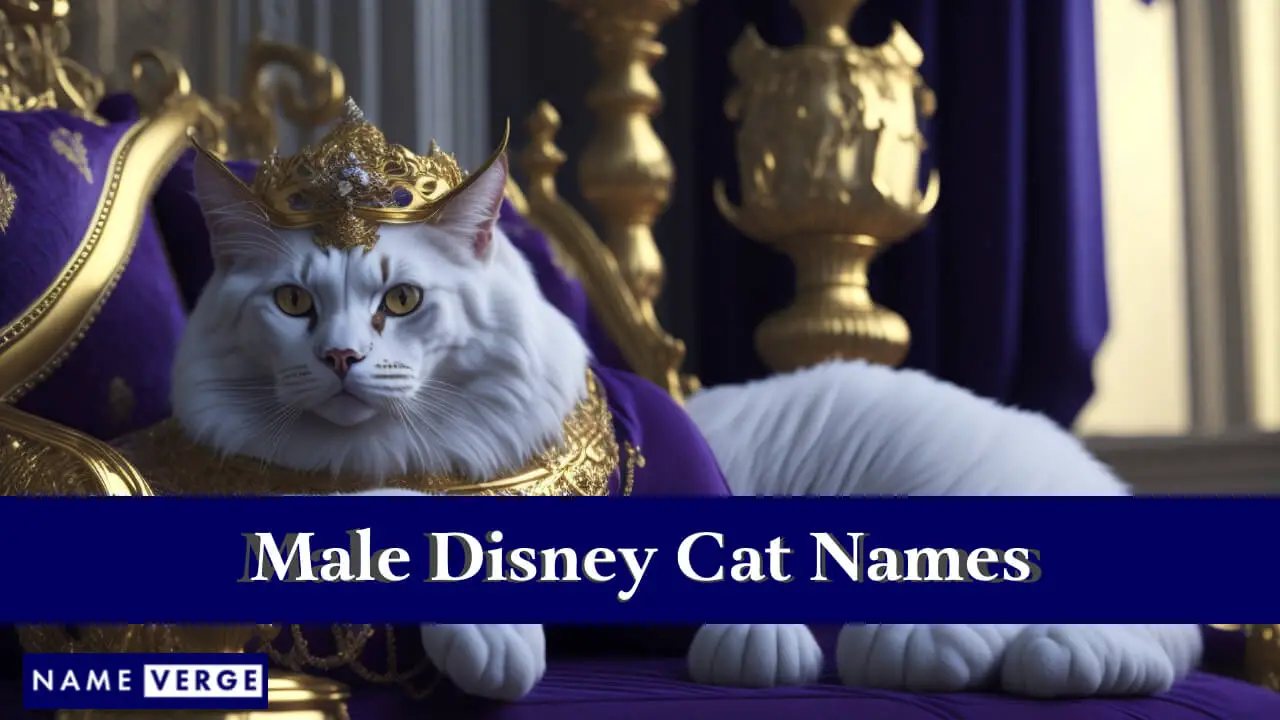 Männliche Disney-Katzennamen