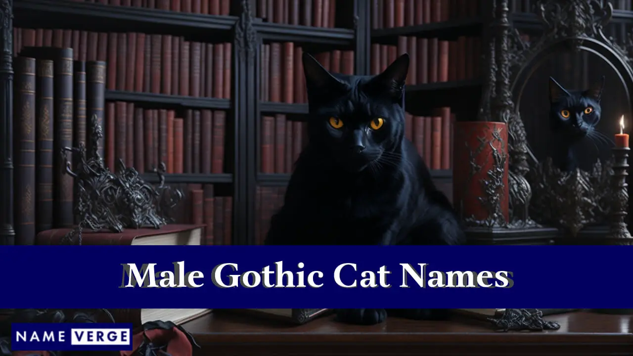 Männliche gotische Katzennamen