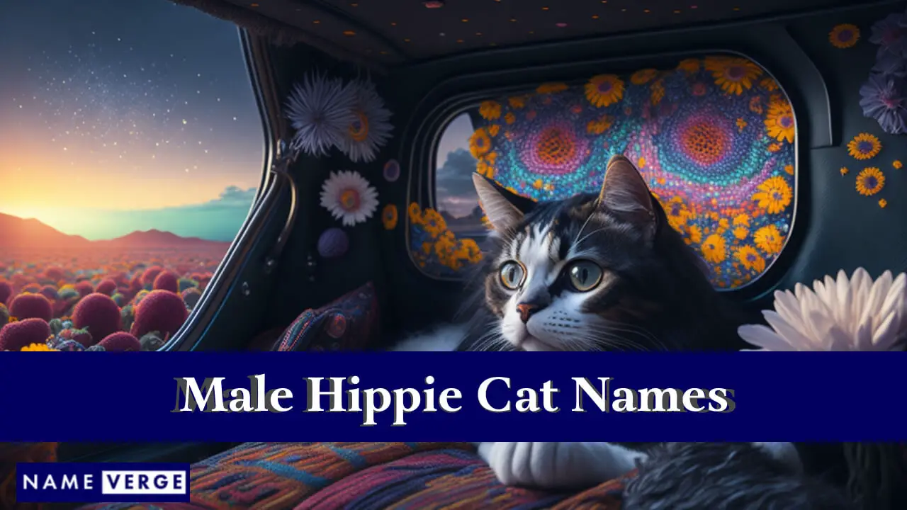 Männliche Hippie-Katzennamen