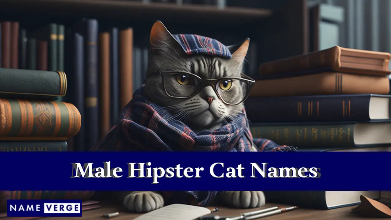 Männliche Hipster-Katzennamen