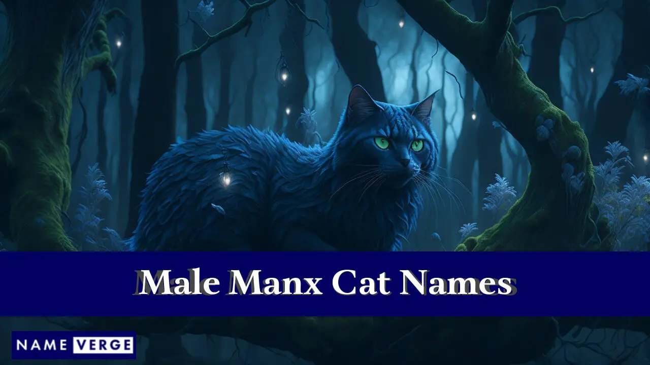 Manx-Katzennamen männlich