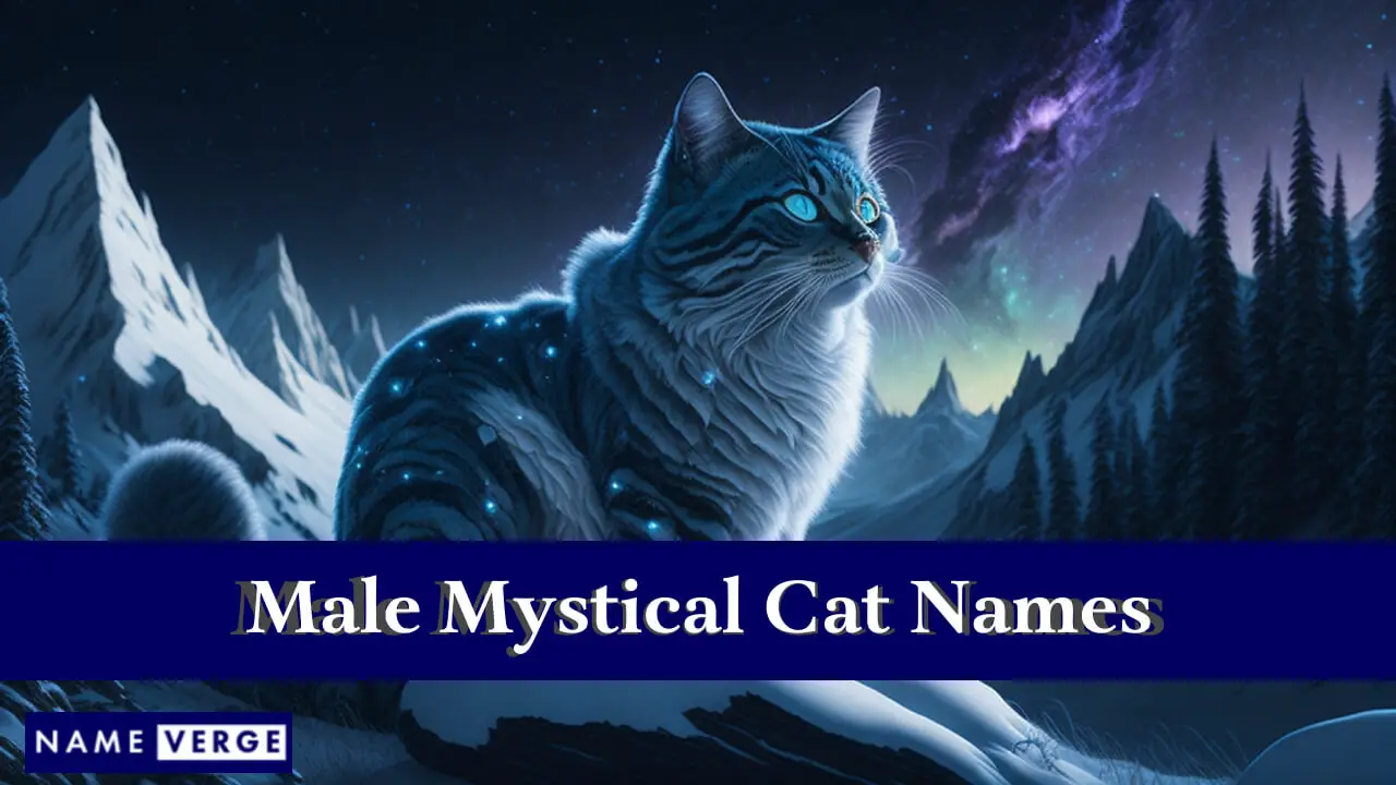 Männliche mystische Katzennamen