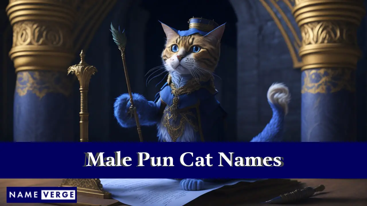 Männliche Wortspiel-Katzennamen