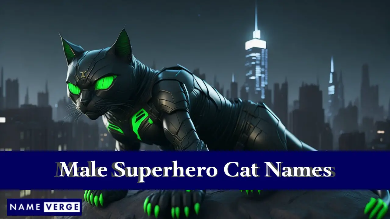 Männliche Superhelden-Katzennamen