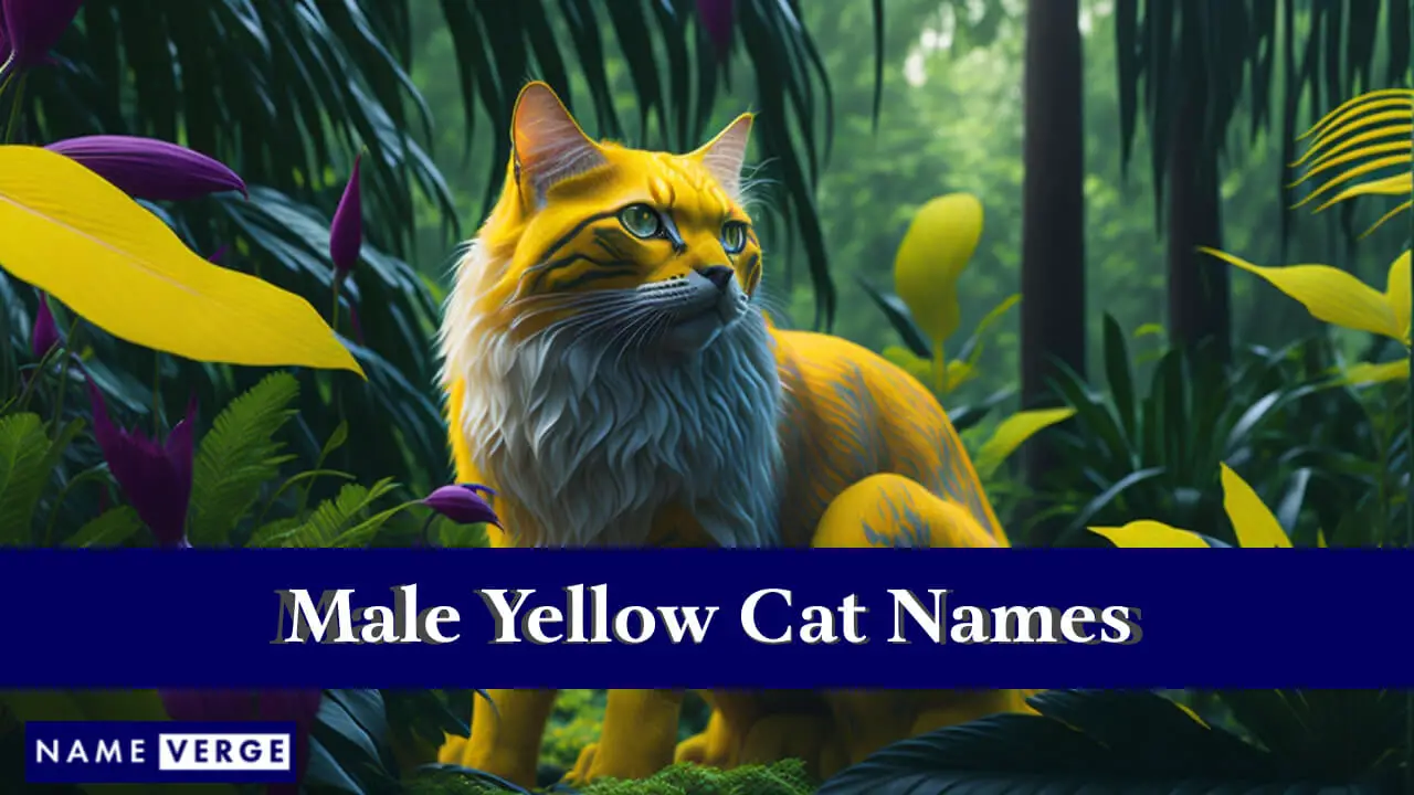 Männliche gelbe Katzennamen