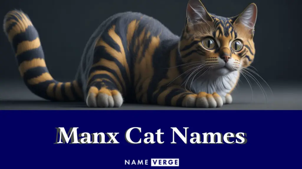 manx cat names